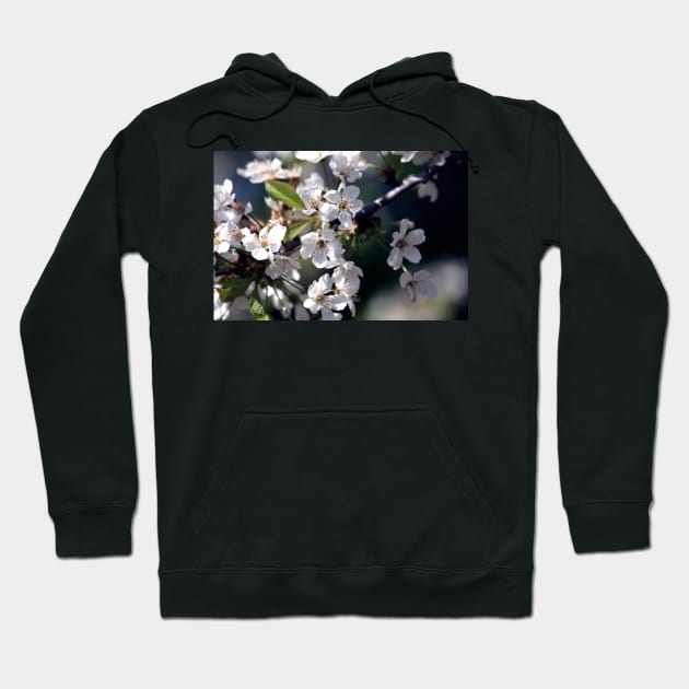 White Flowers Photo Hoodie by k-creatif